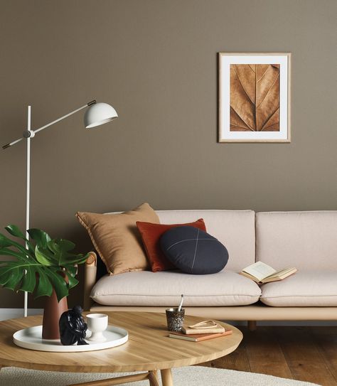 Porter's Paints - Wet cement. A warm neutral brown with a touch of ochre. Brown Walls Living Room, Reka Bentuk Bilik Tidur, Living Room Wall Color, Room Wall Colors, Room Wall Painting, Living Room Decor Colors, Design Apartment, Paint Colors For Living Room, Wallpaper Living Room