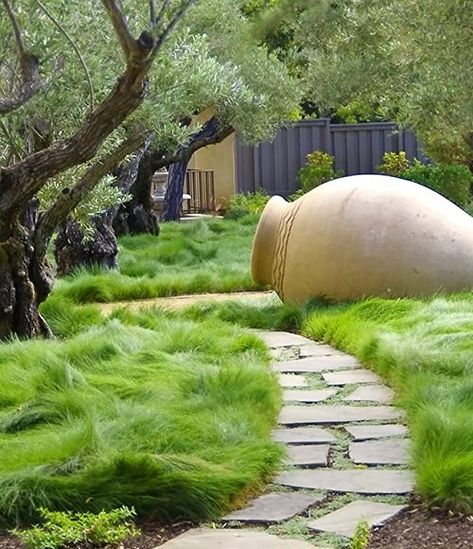 14 No Mow Lawn Alternative Ideas | Best Grass Alternatives No Grass Yard, Lawn Free Yard, Grass Alternative, Stone Garden Paths, Planting Grass, Sacred Garden, Lawn Alternatives, No Grass Backyard, Willow Grove