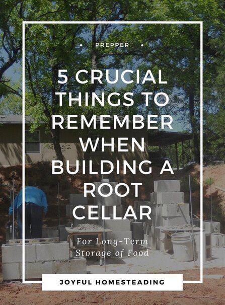 5 Things To Remember When Building a Root Cellar Building A Root Cellar, Root Cellar Plans, Root Cellar Storage, Root Cellar, Storm Shelter, Homesteading Skills, Greenhouse Plans, Cold Room, Homestead Survival