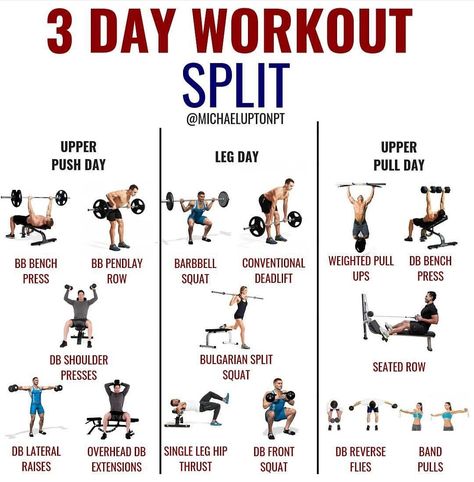 A great example of a workout split for 3x/week training. Can be used for any level, just adjust exercises to your capabilities.🏋️‍♀️ #motivationalmonday #motivation #train #trainer #trainhard #workoutsplits #mondaymotivation #fitness #inspiration #fitnessmotivation #success #fit #monday #workout #goals 3days A Week Workout Plan, 3x Week Workout Plan, Push Superset Workout, 3 Days A Week Workout Plan Gym Weight Training, 3 Day Compound Split, 3 Day Weight Training Plan, Workout Plan 3 Days A Week, Gym Workout Split Strength Training, 3 Day Training Split