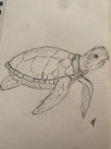 Marine Life Sketches, Aquatic Life Drawing, How To Draw Sea Animals, Marine Life Drawing, Green Aesthetic Outfit, Summer Sketches, Turtle Sketch, Wrist Tattoo Ideas, Wrist Tattoo Designs