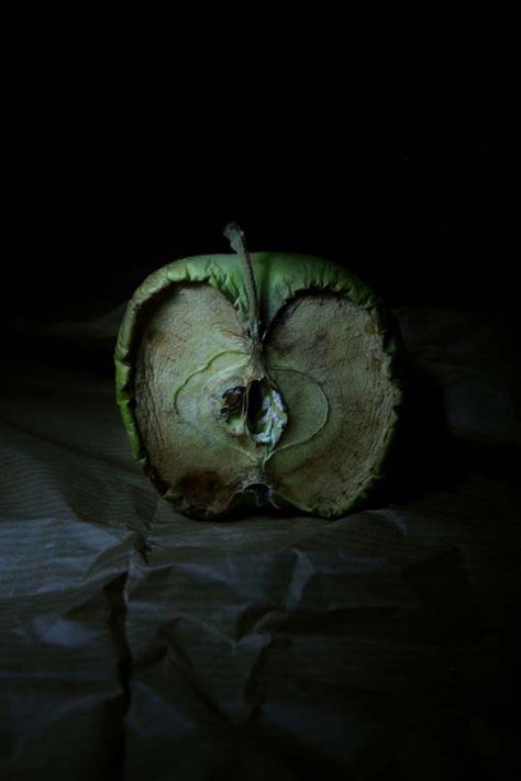 Great article on "still life photography where objects are in action without animation" Literature Photography, Decay Art, Billy Kidd, Photography Snow, Photography Examples, Growth And Decay, Dark Green Aesthetic, Time Photography, Slytherin Aesthetic