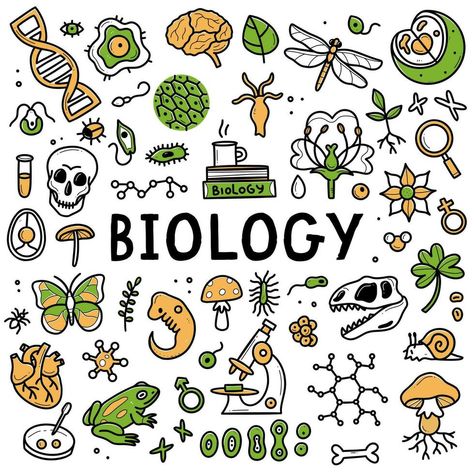 Science Notebook Cover, Elements Science, Biology Drawing, Science Drawing, General Biology, Science Doodles, Biology Projects, Science Equipment, Science Icons