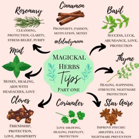 Herb Meanings, Witchcraft Meaning, Herbs For Protection, Thyme Herb, Magickal Herbs, Witch Herbs, Witch Spirituality, Magic Herbs, Essential Oils Herbs