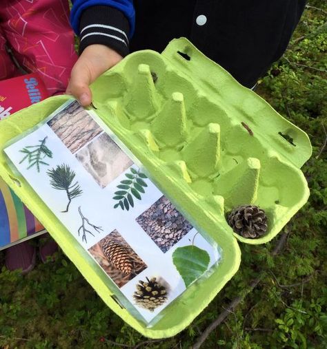 Oppgaver For Barn, Forest School Activities, Nature School, Outdoor Education, Forest School, Outdoor Learning, Egg Carton, Nature Activities, Montessori Activities