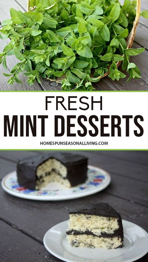 Spearmint Recipes, Mint Recipes Dessert, Mint Recipes Fresh, Mint Desserts, Mint Herb, Mint Chocolate Chip Cookies, Dinner Mints, Mint Cake, Scratch Recipes