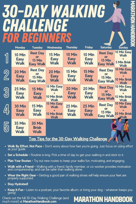 30 Day Walking Challenge For Beginners 5 Walking Challenge For Beginners, Day Journal Ideas, 30 Day Walking Challenge, Planner Challenge, 30 Day Journal, Beachbody Challenge Group, Running Plan For Beginners, Challenge 30 Day, Walking Challenge