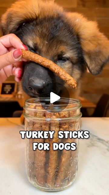 JADE THE SABLE GSD on Instagram: "Turkey Pupperoni Sticks Recipe 😋🍗These easy 4 ingredient dog treats are not only healthy and yummy, they are also very cost effective! Recipe at the end and don’t forget to save for later! #easydogtreats #dog #dogs #dogrecipes #dogtreats #germanshepherd" Dehydrated Pet Treats, Ground Turkey Dog Treats, Thanksgiving Dog Treat Recipes, Diy Greenies Dog Treats, Savory Dog Treats, Easy Dog Treats 2 Ingredients, Home Made Dog Treats Recipe, Homemade Christmas Dog Treats, Homade Dog Treats