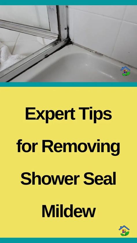 Banishing Mold: Effective Techniques for Shower Seal Cleaning Shower Seal Cleaning, Shower Mold Cleaner, Cleaning Shower Mold, Remove Mold From Shower, Glass Shower Door Cleaner, Shower Mold, Shower Door Seal, Bathroom Shower Stalls, Glass Shower Wall