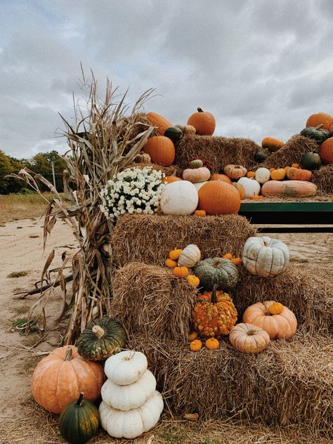 Outdoor Fall Pumpkin Display, Pumpkin Store Display, Fall Decor Backyard, Pumpkin Patch Backdrop Ideas, Fall Pumpkin Displays Outside, Pumpkin Festival Decorations, Pumpkin Selling Display, Fodder Shock Ideas, Pumpkin And Hay Bale Display