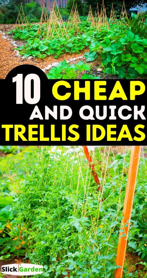 Cheap Garden Trellis, Cheap Trellis, Diy Garden Trellis Ideas, Homemade Trellis, Squash Trellis, Cucumber Trellis Diy, Vertical Trellis, Bean Trellis, Teepee Trellis