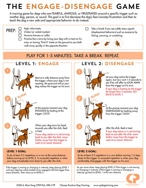 Reducing Leash Reactivity: The Engage-Disengage Game | Karen Pryor Clicker Training German Cross, Lou Dog, Positive Dog Training, Reactive Dog, Basic Dog Training, Dog Games, Obedience Training, Pet Hacks, Dog Obedience