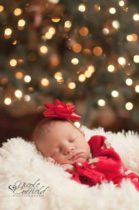 23 Adorable DIY Christmas Baby Photo Ideas - Just Simply Mom Diy Christmas Photoshoot Baby, Newborn Christmas Pictures, Diy Christmas Photoshoot, Baby Christmas Photography, Newborn Christmas Photos, Christmas Baby Pictures, Baby Christmas Photos, First Christmas Photos, Newborn Baby Photoshoot