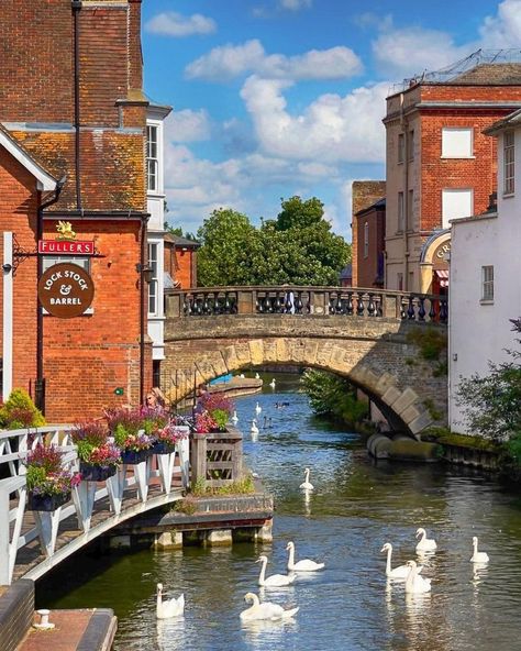 Newbury | Photographe : Anguskirk via @we.love.england sur Instagram Newbury England, Walking Trails, Small Island, Great Britain, The South, Places To Go, England, Walking, Instagram Photos