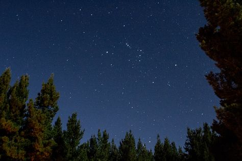 Clear night sky above us just south west of Oberon. This is why we call ourselves a 5 billion star pop up hotel. . . . .  #clearnightsky #avantgardecamping #glampingnsw #wintersky #milkway #outinnature #centralNSW #oberonnsw #pineforest Australian Night Sky, Stars Constellations, Hounds Of Love, Clear Night Sky, Types Of Aesthetics, Night Scenery, Night Landscape, Look At The Stars, The Night Sky