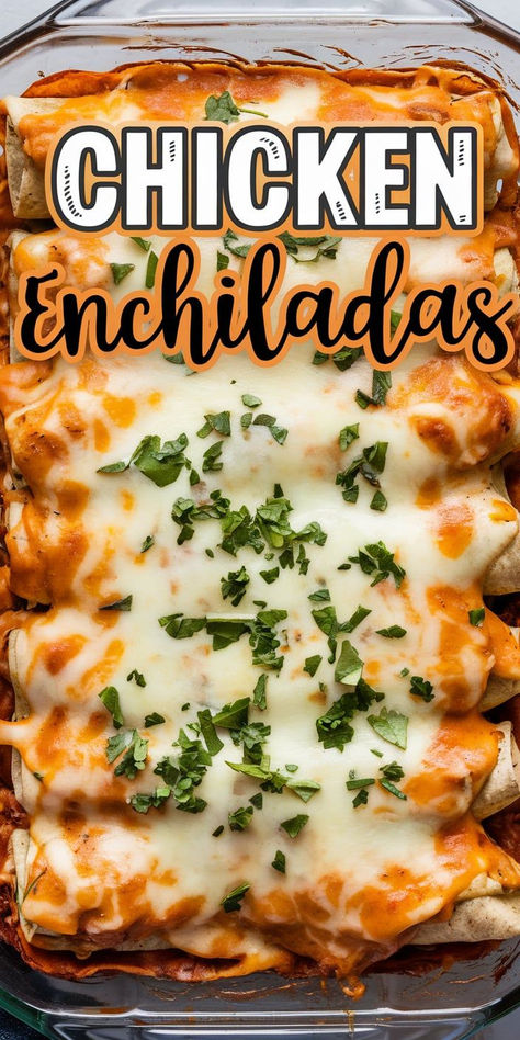 Cheesy Chicken Enchiladas.  Creamy, cheesy, and packed with tender chicken, these enchiladas are a family favorite! Perfect for an easy weeknight dinner.