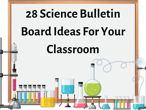 Looking for new ideas for science bulletin boards this year? Dress up an ordinary bulletin board with colorful displays, use interactive bulletin boards to review important concepts, and remind students that science is everywhere with these amazing bulletin board ideas! All you need is time, a bit of creativity, and a little inspiration to make … Christian Science Bulletin Boards, Science Bulletin Board, Science Bulletin Board Ideas, Third Grade Science Projects, Kindergarten Science Experiments, Middle School Classroom Management, Science Bulletin Boards, Elementary School Science, Science Room