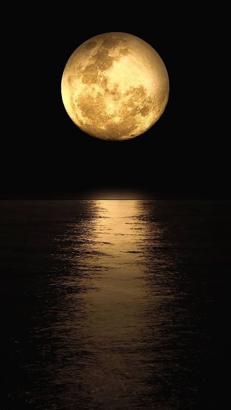 Download Moonshine on ocean wallpaper by looneywolf - 37 - Free on ZEDGE™ now. Browse millions of popular moon Wallpapers and Ringtones on Zedge and personalize your phone to suit you. Browse our content now and free your phone Iphone Wallpaper Moon, Beautiful Moon Pictures, Moon And Stars Wallpaper, Foto 3d, Moon Lover, Night Sky Wallpaper, Moon Pictures, Moon Photography, Ocean Wallpaper