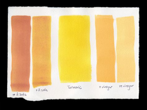 Let's take a look at the latest pH test I did: turmeric. Turmeric is one of my go-to dyes for anthotypes, but the problem with pure turmeric dye is that it's too yellow. Fortunately the pH experiments can change that! Eco Printing Tutorial, Turmeric Dye, Lumen Prints, Garden Of Lights, Cyanotype Process, Sun Prints, Alternative Photography, Contact Print, Turn Blue