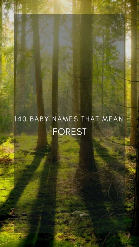 140 Baby Names That Mean Forest - Creative Nomenclature Names That Mean Kindness, Forest Names Girl, Names Meaning Forest, Names That Mean Forest, Woodsy Names, Forest Names, Nature Inspired Names, German Names, Alder Tree