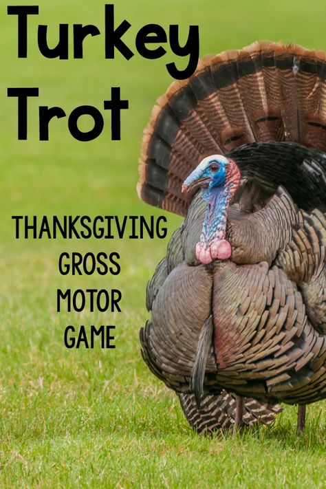 Thanksgiving Gross Motor Preschool, Thanksgiving Gross Motor, Thanksgiving Themed Activities, Preschool Camping, November Lesson Plans, Turkey Games, Pink Oatmeal, Gym Games For Kids, Preschool Thanksgiving