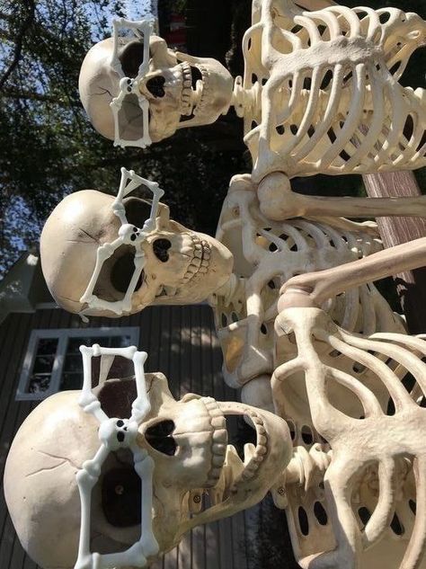 Skeleton, To Look, Bones, Human