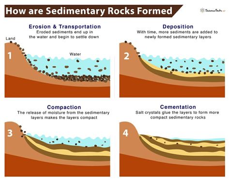 Rock Cycle Notes, Layers Of Rock Earth Science, High Geologist, Sedimentary Rock Formation Anchor Chart, Geology Cross Section, Sedimentary Rock Formation, Marine Organism, Guadalupe Mountains, Diagram Design