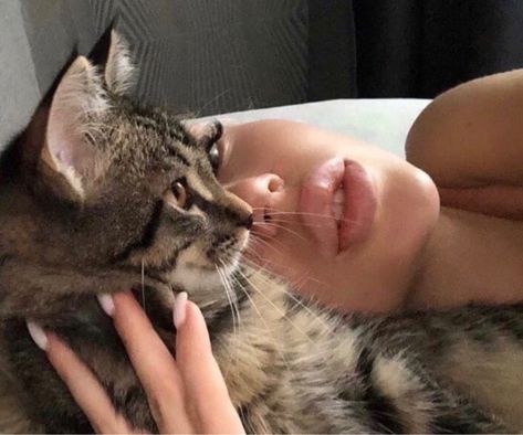 Image discovered by 𝐀. Find images and videos about aesthetic, cat and lips on We Heart It - the app to get lost in what you love. Cat Aesthetic, Pretty Cats, Cat Mom, Dream Life, Fur Babies, Cute Cats, Feline, Black Cat, Mood Board