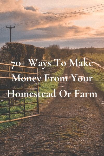 70+ Ways To Make Money From Your Homestead Or Farm Starting A Farm, Acre Homestead, Farm Plans, Homestead Farm, Farm Layout, Farm Business, Future Farms, Farm Lifestyle, Homesteading Skills