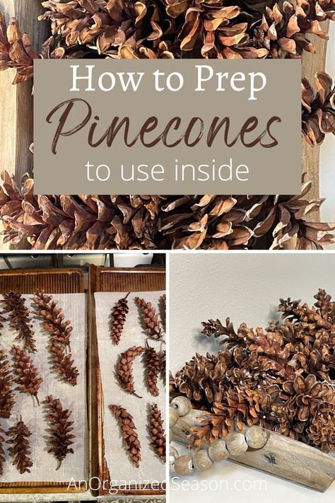 Pinecones on baking sheets and pinecones in a wood tray. How To Use Pinecones For Decor, How To Preserve Pinecones, How To Open Pinecones, Diy Fall Decor With Pinecones, Preparing Pinecones For Crafts, Prepping Pinecones For Crafts, How To Dry Pinecones, Drying Pinecones In Oven, How To Bake Pinecones For Crafts