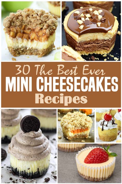 Top 30 Mini Cheesecake Recipes Ever Mini Cheesecakes With Fruit, Fall Mini Cheesecake Recipes, Easter Cheesecake Desserts, Cheesecake Bites Recipes Easy, Mini Cake Desserts, Miniature Cheesecakes Recipes, Small Cheese Cakes, Mini Christmas Cheesecake Recipes, Fall Cheesecake Recipes Easy