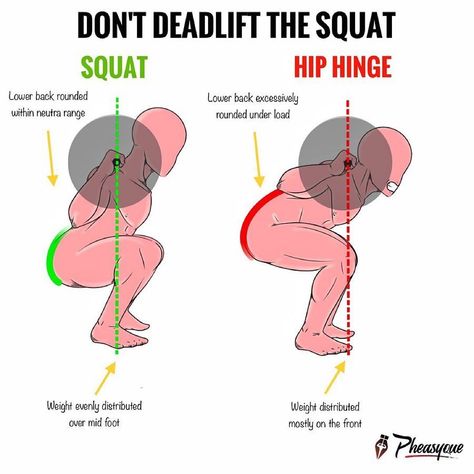 𝐉𝐨𝐧𝐚𝐭𝐡𝐚𝐧 𝐂𝐚𝐫𝐩𝐞𝐧𝐭𝐞𝐫 | 𝐁.𝐒. 𝐄𝐗𝐒𝐒 on Instagram: “Posted By @pheasyque ⭕️Don't SQUAT the DEADLIFT & vice versa!⭕️ ⁣  It’s extremely common to see newbies “squat” their deadlift, but what’s…” Types Of Squats, Bosu Ball Workout, Squat With Bar, Bulking Season, Train Insane Or Remain The Same, Muscle Power, Boxing Training, Fitness Bodybuilding, Kettlebell Workout