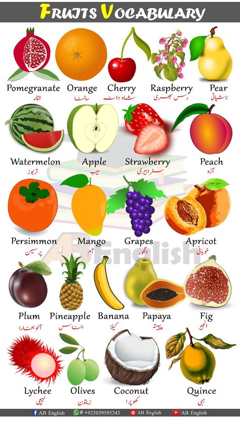 Here are Fruits names in English with urdu. That you can learn basic English Vocabulary from this Pin. So, if you want to learn Pronunciation of these Vocabulary, please you can Visit. Name Of Vegetables, Fruits And Vegetables List, Fruits Name In English, Vegetable Chart, Biscuits Diététiques, English Phrases Sentences, Vegetable Pictures, Fruit Names, List Of Vegetables