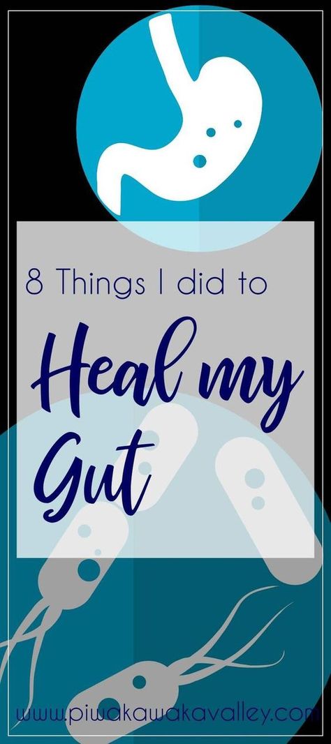 Heal My Gut, Workout Hiit, Gut Issues, Gut Health Diet, Health Living, Improve Gut Health, Gut Bacteria, Gut Healing, Oral Health Care