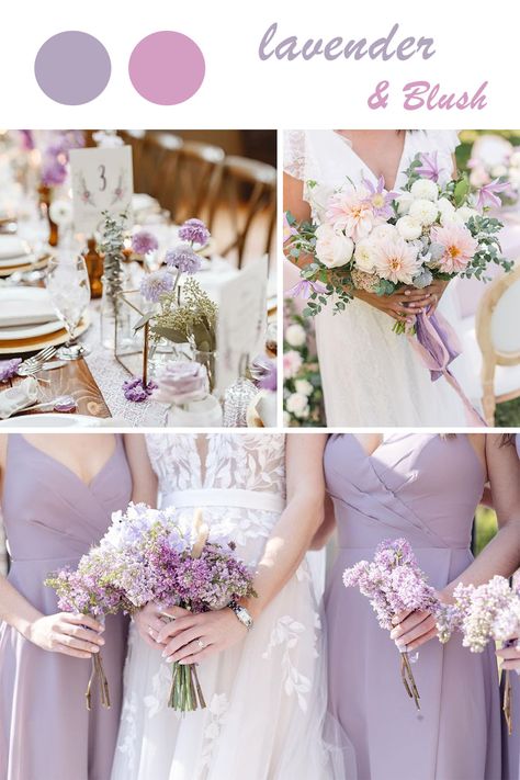 Lavender and blush wedding color ideas Light Lavender Wedding, Light Purple Wedding Theme, Shades Of Purple Wedding, Wedding Color Schemes Purple, Lilac Wedding Themes, Purple Wedding Ideas, Dark Purple Wedding, Lavender Wedding Theme, Blush Wedding Theme