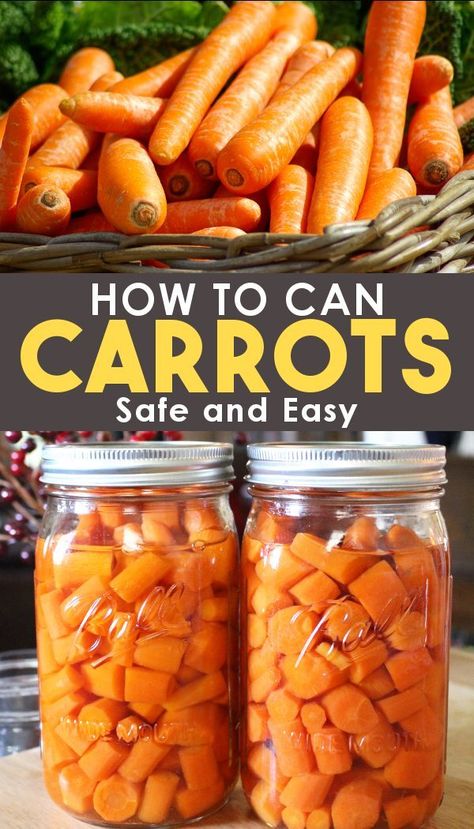 How to Can Carrots - Easy Raw Pack Method for Pressure Canning Carrot Ideas, Can Carrots, Canning Carrots, Canned Carrots, Pressure Canning Recipes, Home Canning Recipes, Canning Vegetables, Canning Food Preservation, Canned Food Storage