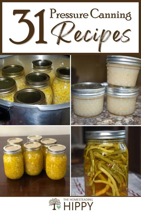 Vegetarian Pressure Canning Recipes, Pressure Canning Recipes For Beginners, Instant Pot Canning Recipes, Vegan Canning Recipes, Pressure Canning For Beginners, Canning Pulled Pork, Amish Canning Recipes, Best Canning Recipes, Canning Recipes For Beginners