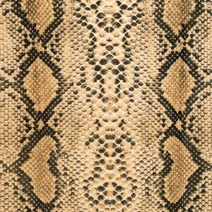 Anaconda Printed Micro-Polyester and Cotton Skin Images, Safari Jungle, Mood Fabrics, Buy Fabric, Pattern And Decoration, Animal Skin, Anaconda, Fabric Online, Home Decor Fabric