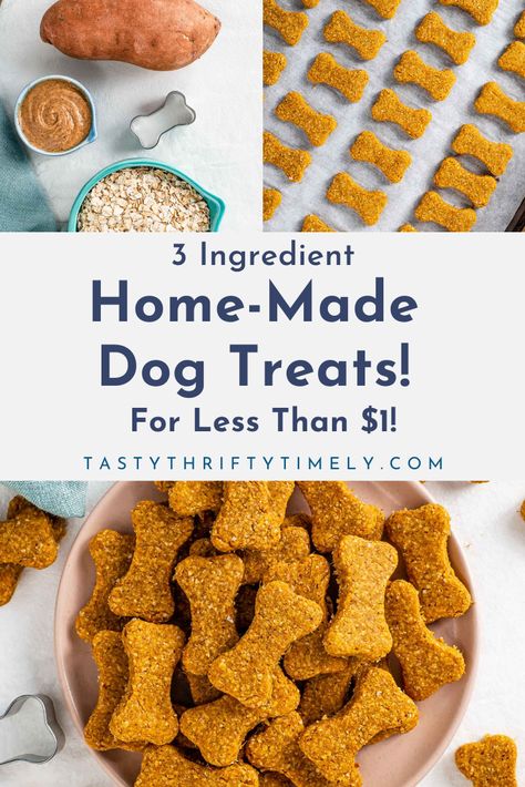 🐶 3 Ingredient Home-Made DOG TREATS! So SIMPLE, ⁠ free from common doggie allergens, HIGH FIBRE, and 40-50 small treats cost us LESS THAN $1! #vegandog #vegandogtreats #dogtreatrecipe #homemadedogtreats #homemadedogbiscuits #sensitivedog #valentinesdog #dogvalentine Natural Dog Calming Treats, Diy Natural Dog Treats, 3 Ingredients Dog Treats, Dog Treats For Large Dogs, Dog Treats Homemade Shelf Stable, Easy At Home Dog Treats, Diy Grain Free Dog Treats, High Fiber Dog Treats, Natural Dog Biscuit Recipes