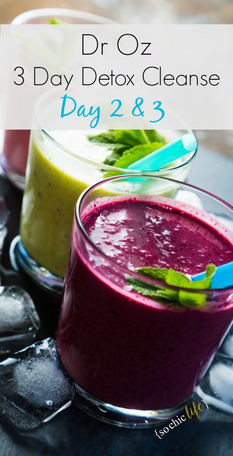 Dr Oz 3 Day Detox Cleanse (Day 2 & 3) Easy Detox Cleanse, 3 Day Detox Cleanse, Diet Detox, Breakfast Low Carb, 3 Day Detox, Natural Detox Drinks, Smoothie Detox, Natural Colon Cleanse, Easy Detox