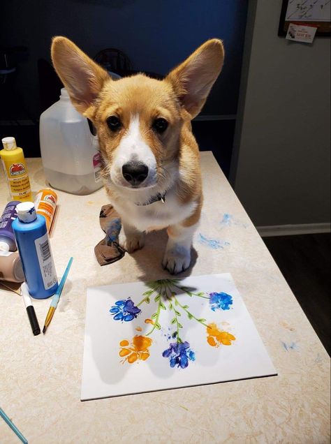 Dog Paw Painting Ideas, Paw Painting Dog Art, Dog Arts And Crafts, Dog Paw Art, Dog Paw Print Art, Paw Print Art, Paw Painting, Paw Art, Basenji Dogs