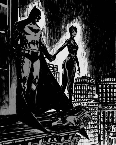 Bruce And Selina, Batman Love, Batman Catwoman, Catwoman Comic, Otto Schmidt, Calloway Sisters, Batman Pictures, Batman And Catwoman, Selina Kyle