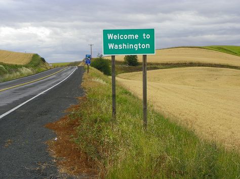 Welcome To Washington, Washington State Travel, You Just Realized, Wa State, Seattle Homes, Mountain Trails, High Hopes, Story Board, Back Road