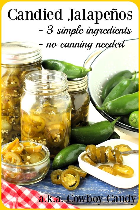 Refrigerator Cowboy Candy, Cowboy Candy Jalapenos Easy, Cowboy Candy Jalapenos, Candied Pickles, Pickled Items, Pickled Jalapeno Recipe, Pickles Canning, Jalapeno Recipe, Freezing Recipes