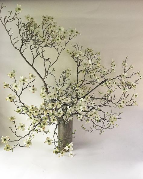 Branch Arrangements Wedding, Dogwood Wedding Flowers, Branches Flower Arrangement, Tall Branches In Vase, Dogwood Arrangement, Branch Floral Arrangements, Branch Wedding Decor, Tall Vase Flower Arrangements, Dogwood Bouquet