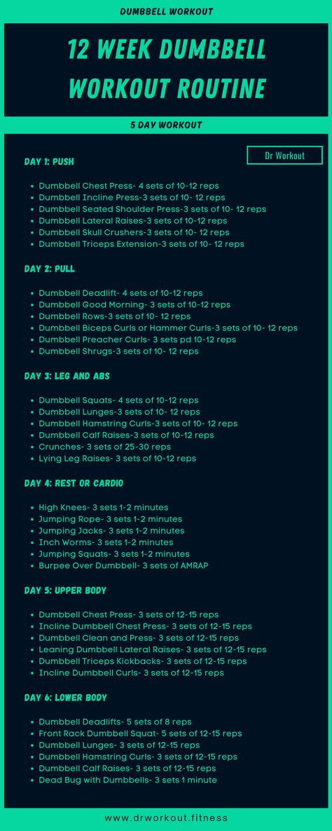 12 Week Dumbbell Workout Routine 12 Week At Home Workout Plan, Quick Weight Workout, 12 Week Exercise Plan For Women, 12 Weeks Workout Plan, Weider Home Gym Workouts Chart, Dumbell Workout Week Plan, At Home Workout Routines, 8 Week Shred Workout Plans, 4 Week Dumbbell Workout Plan