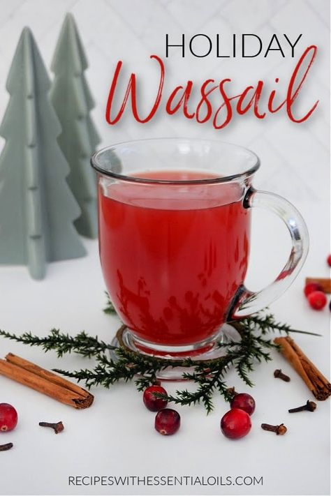 Wassail Recipe Crockpot, Pure Cranberry Juice, Pineapple Juice Recipes, Wassail Recipe, Lemonade Smoothie, Peppermint Hot Cocoa, Red Hots, Spiced Apple Cider, Cider Making