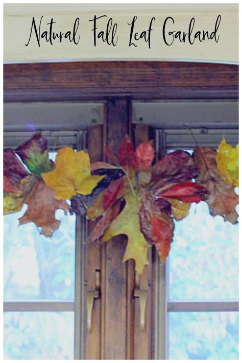 Find out how easy it is to take colorful autumn leaves and make this beautiful fall leaf garland to hang in your home. #fallgarland #falldecor #fallleaves Real Leaf Garland, Fall Garlands, Fall Leaf Decor, Autumn Leaves Art, Fall Leaf Garland, Real Leaf, Faux Leaf, Fall Garland, Garden Crafts Diy