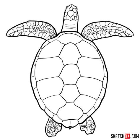 How to draw a Sea Turtle (view from the top) Easy Turtle Drawing, Draw A Sea Turtle, Turtle Outline, Tortoise Drawing, Turtle Sketch, Sea Turtle Drawing, Swimming Sea, Turtle Drawing, Water Drawing