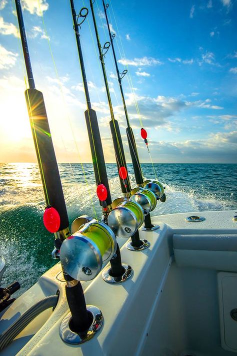 Ocean Fishing Boats, Sport Fishing Boats, Salt Water Fishing, Ocean Fishing, Charter Boat, Sport Fishing, Rod And Reel, Saltwater Fishing, Salt And Water